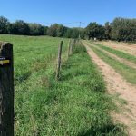 © Sentier la voie romaine - OT FOREZ-EST