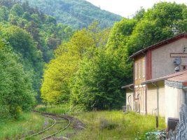 Les Vallons de l'Anzon ou les Pins Tordus