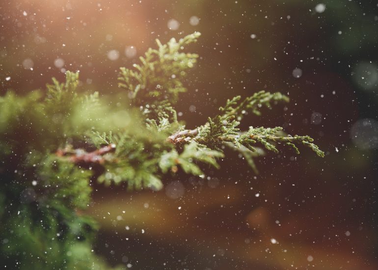 © Marché de Noël_Boën-sur-Lignon - Pixabay