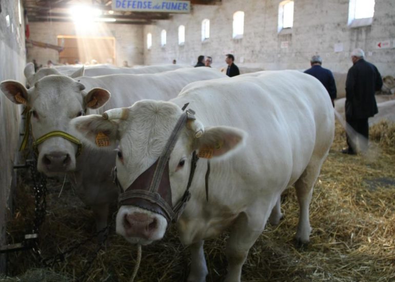 © Comice Agricole_Feurs - F. Perrot