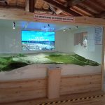 Museum des Käses”Fourme” und der Traditionen
