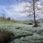 © Sentier découverte du viaduc du pont marteau : le bois de la dame_Sainte-Colombe-sur-Gand - OT Forez-Est