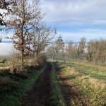 © Sentier découverte du viaduc du pont marteau : sur les traces du tacot_Sainte-Colombe-sur-Gand - OT FOREZ-EST