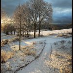 © Magali Coulombeau - Magali Coulombeau