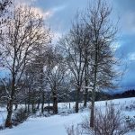 © Magali Coulombeau - Magali Coulombeau