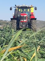 Rendez vous au champs - Ferme des délices Foréziens