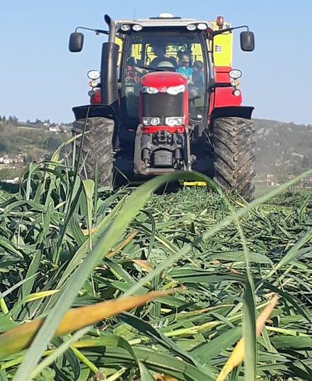 © Rendez vous au champs - Ferme des délices Foréziens - FDD