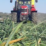© Rendez vous au champs - Ferme des délices Foréziens - FDD