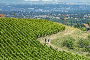 De gare en gare -  5J/4N - Entre Sancti Martini et Chemin de Saint-Jacques au cœur des vignobles de la Loire Volcanique