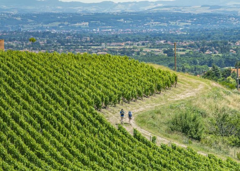 © De gare en gare - Entre Sancti Martini et Chemin de Saint-Jacques au cœur des vignobles de la Loire Volcanique - Loire tourisme