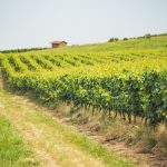 © Escales de charme sur la Route des Vins Forez Roannais en Loire Volcanique - Loire tourisme
