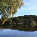 © Plan d'eau - Usson en Forez - AM - OT Loire Forez