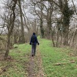 © Sentier du castor - La Loire Forézienne : Montrond-les-Bains / Ecopôle du Forez_Montrond-les-Bains - OT FOREZ-EST