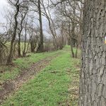 © Sentier du castor - La Loire Forézienne : Montrond-les-Bains / Ecopôle du Forez_Montrond-les-Bains - OT FOREZ-EST