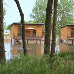 © Chalets sur pilotis - Domaine de Veauchette en Forez_Veauchette - Domaine de Veauchette