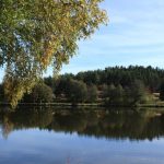© Gîte Communal du Mary II - Gîtes de France