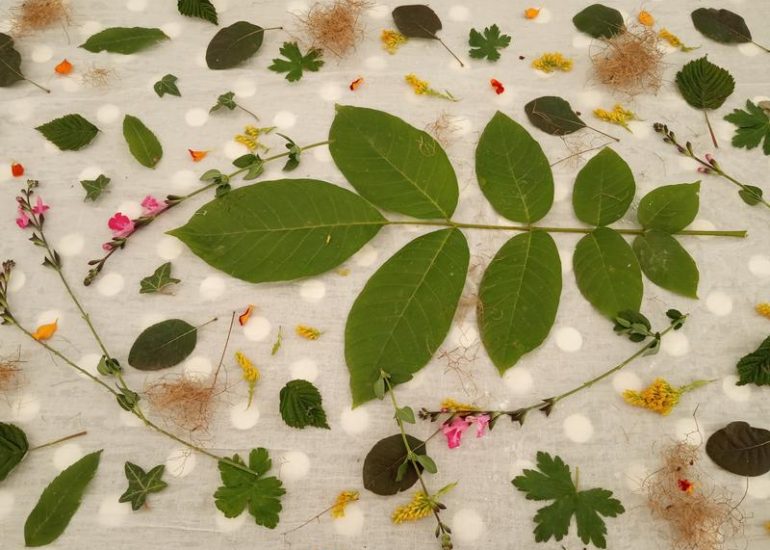 © ECO PRINT  - VALÉRIE MÉTRAS 