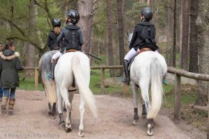 Balades à cheval et à poney