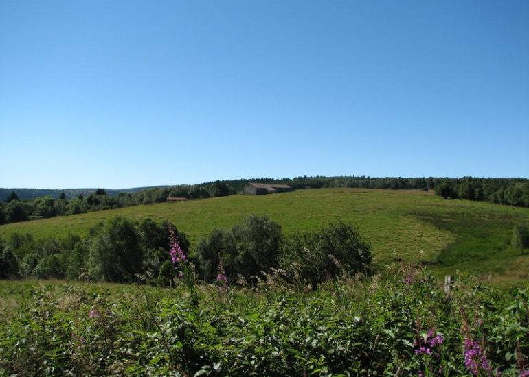 © Journée européenne de l'archéologie_Usson-en-Forez - Anne Massip