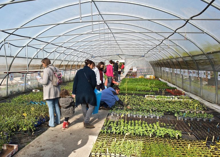 © Vente de plants bio_Saint-Just Saint-Rambert - Les jardins d'Oasis