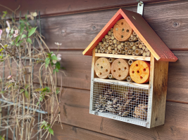 Atelier gîtes à insectes et bombes à graines