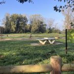 © Lièvre - Gîtes de France