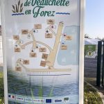 © Lièvre - Gîtes de France