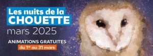 Nuits de la chouette : soirée découverte