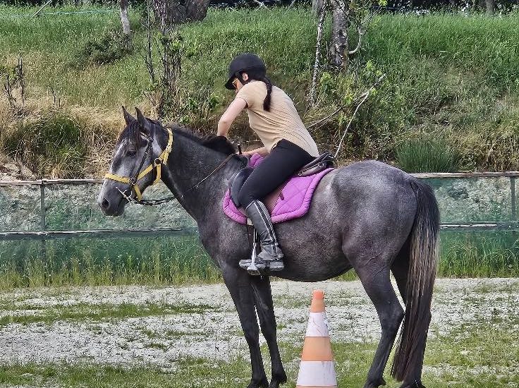 © Balade à cheval_Margerie-Chantagret - Sandrine Vial
