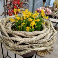Atelier art floral enfant - Nid douillet