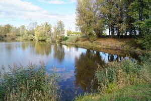 Rando guidée au fil du fleuve Loire : Rivas / Montrond-les-Bains