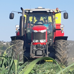 © Rendez vous au champs_Saint-Cyr-les-Vignes - FDD