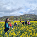 © Rendez vous au champs_Saint-Cyr-les-Vignes - FDD