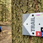 © Parcours trail 4 - Maratrail de Violay_Violay - OT FOREZ-EST