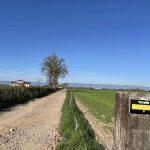 © Sentier  Les étangs_Cuzieu - OT FOREZ-EST