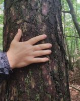 Plongez dans la nature – Animation sensorielle et créative pour enfants