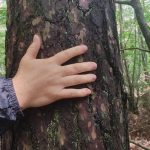 © Plongez dans la nature – Animation sensorielle et créative pour enfants - Aurélie Trescartes