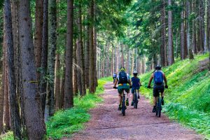 Rando des Balcons Foréziens vélo route et VTT