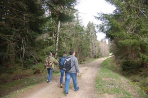 "Sur les pas des maquis" - Marche