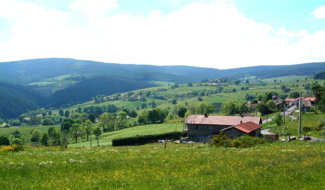 Salle à louer