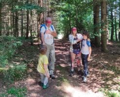 Bain de forêt