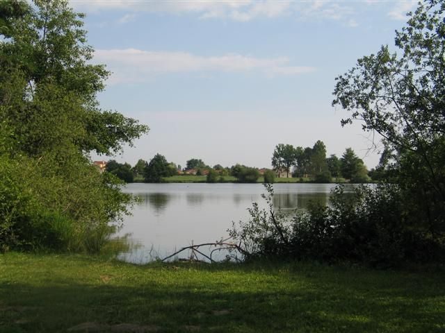 © Vendredi champêtre de l'été - Mairie Savigneux