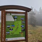 © GR®7 Ligne de partage des eaux : Col Pin Bouchain / Tour Matagrin_Violay - OT Forez-Est