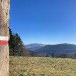 © GR®7 Ligne de partage des eaux : Col Pin Bouchain / Tour Matagrin_Violay - OT Forez-Est
