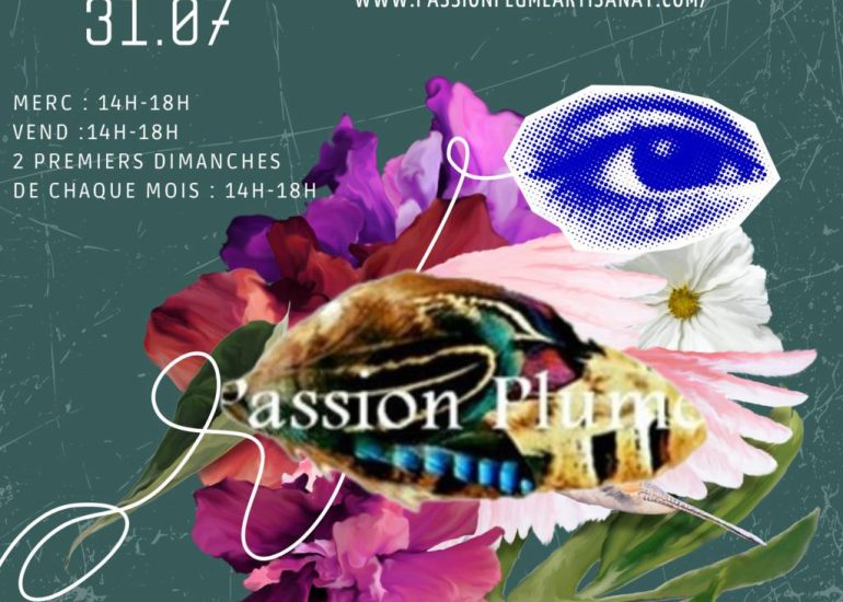 © Passion Plume ! - exposition Anne Marder_Arthun - exposition Anne Marder_Arthun