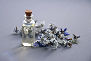 Atelier nature et création : Parfum de nature