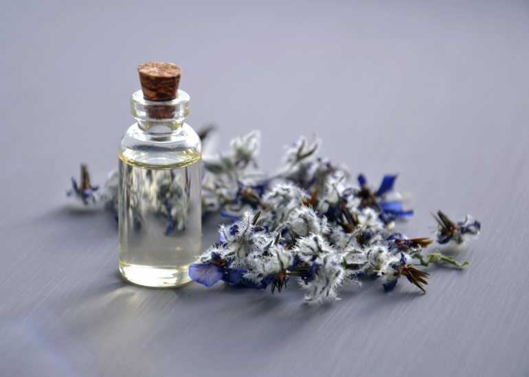 Atelier nature et création : Parfum de nature_Usson-en-Forez