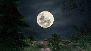 Marche de la pleine lune