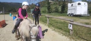 Atelier découverte du poney - enfants