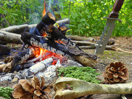Stage bushcraft de 3 jours